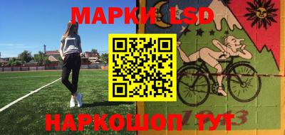 стаф Сланцы
