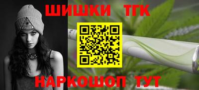 стаф Сланцы