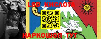 винт Славгород