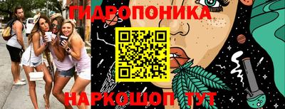 стаф Сланцы