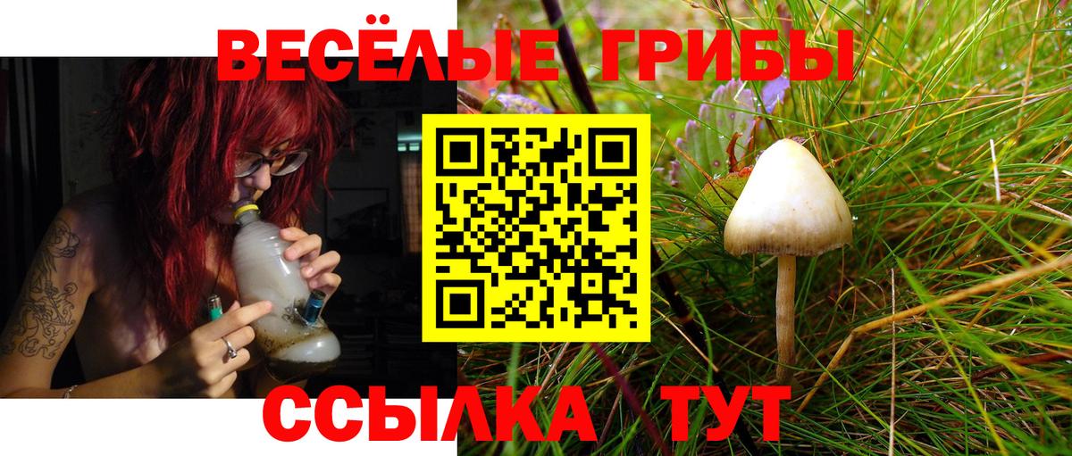 Обнинск  Галлюциногенные грибы Magic Shrooms  Вход с VPN 